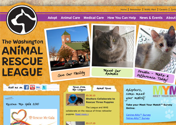 Washington Animal Rescue League home page