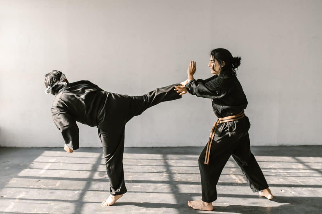 Martial arts sparring kick